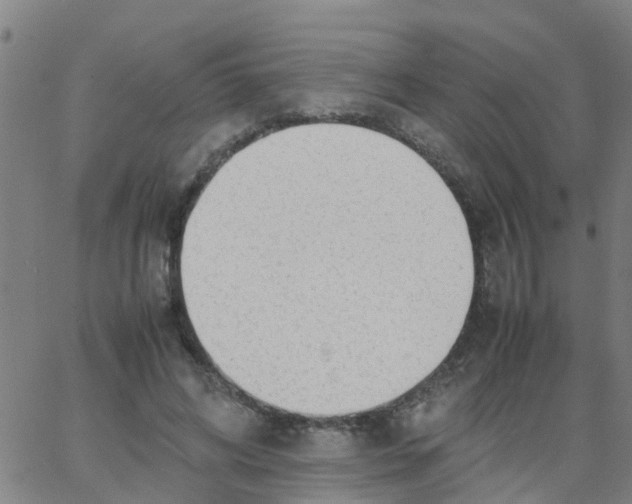 X0000066080592200603311937