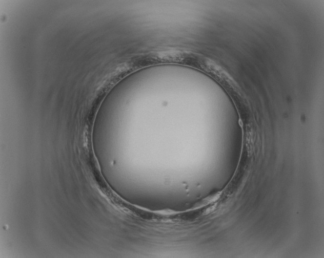 X0000066080593200603311937