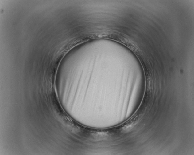 X0000066080594200603311937