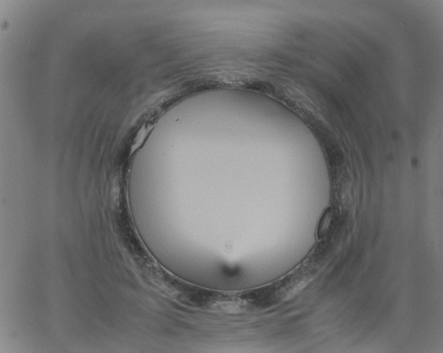 X0000066080595200603311937