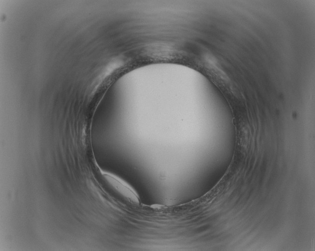 X0000066080596200603311937