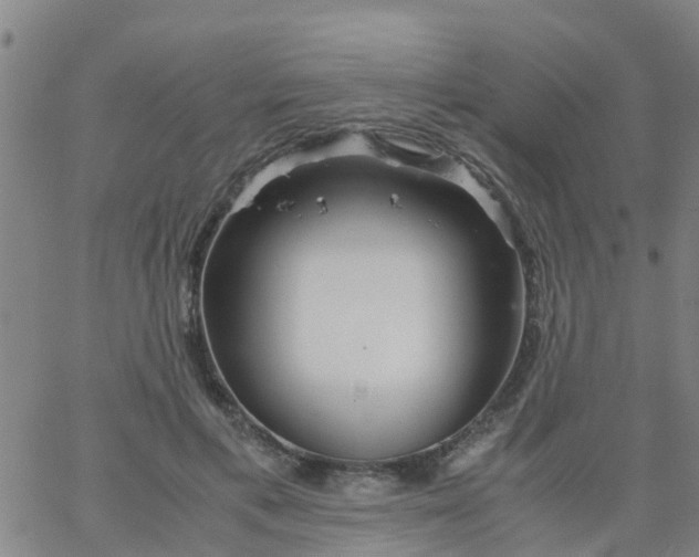 X0000066080597200603311937