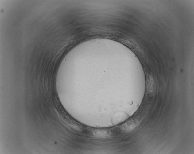 X0000066080598200603311937