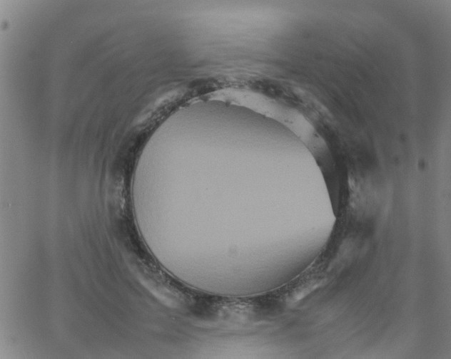 X0000066080599200603311937