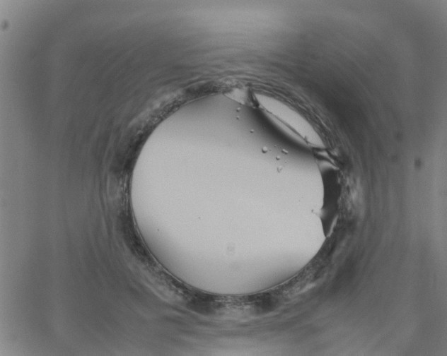 X0000066080601200603311937