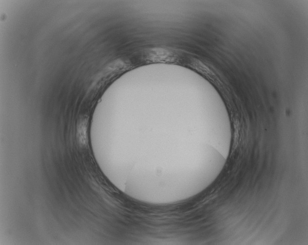 X0000066080602200603311937