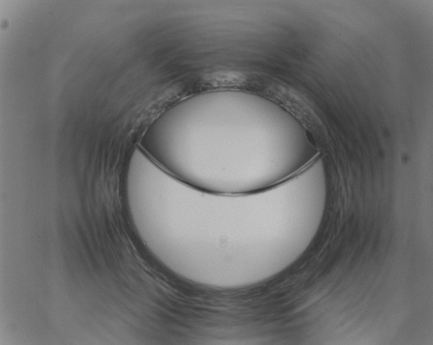 X0000066080604200603311937