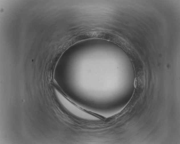 X0000066080605200603311937