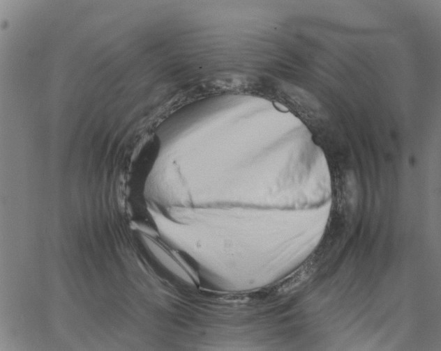 X0000066080606200603311937