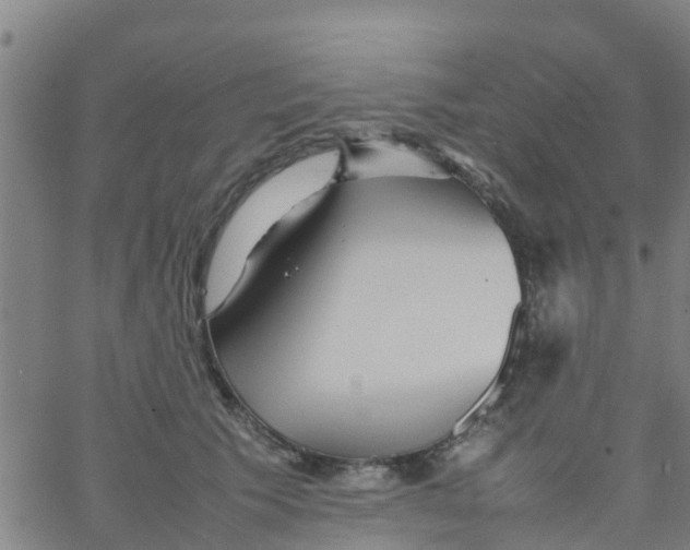 X0000066080609200603311937