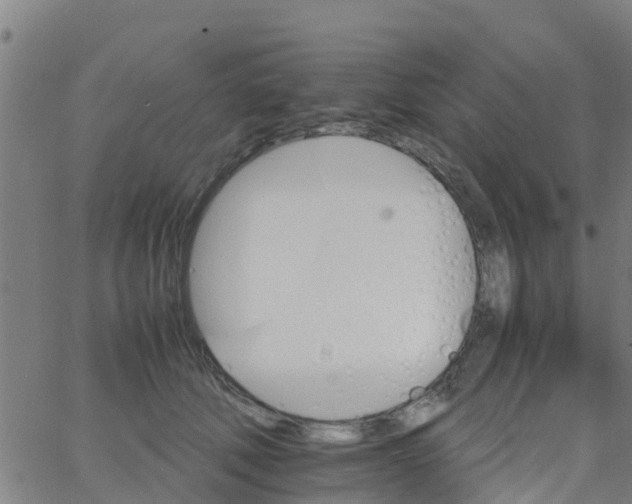 X0000066080610200603311937