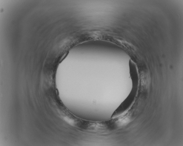 X0000066080611200603311937