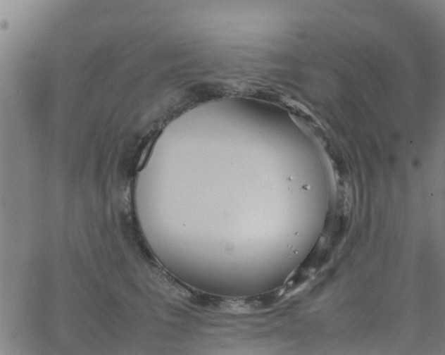 X0000066080613200603311937