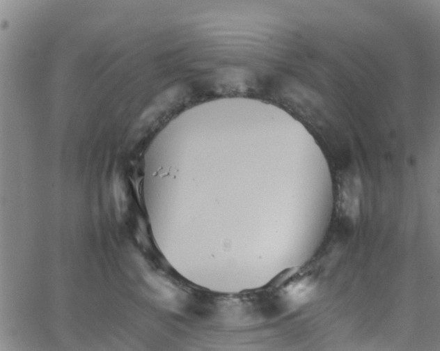 X0000066080616200603311937