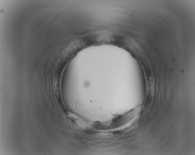 X0000066080619200603311937