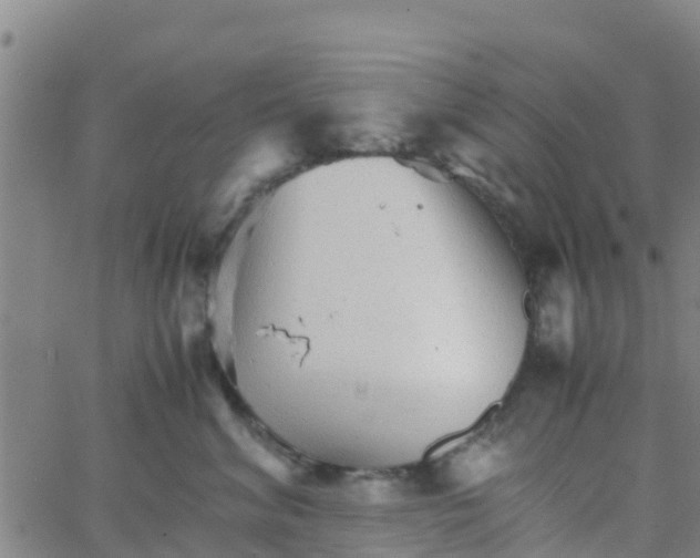 X0000066080620200603311937