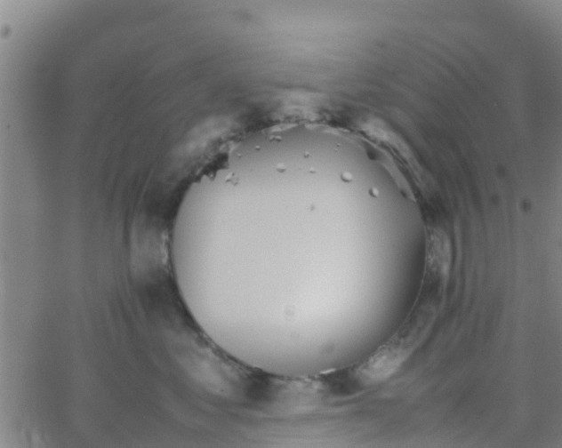 X0000066080621200603311937