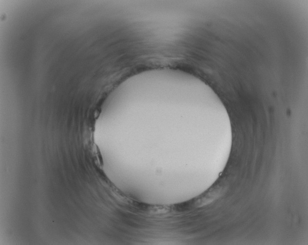 X0000066080624200603311937