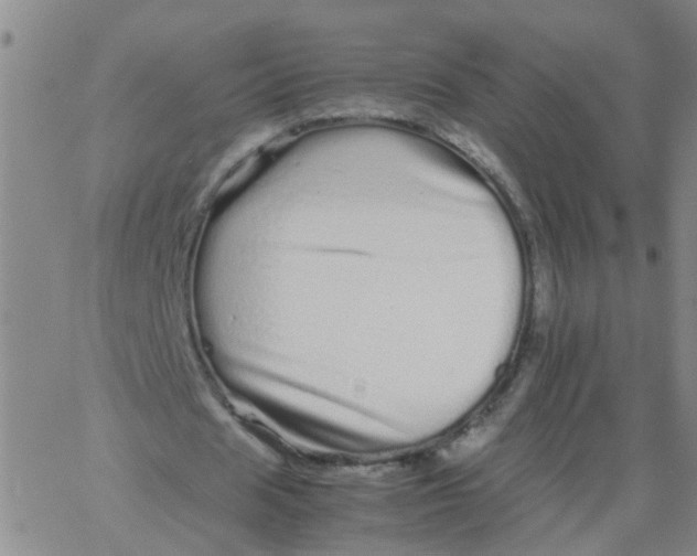 X0000066080625200603311936