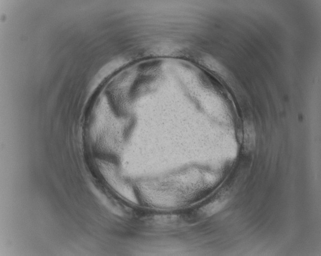 X0000066080626200603311936