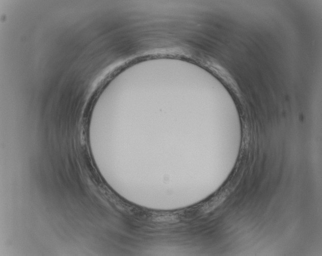 X0000066080628200603311936