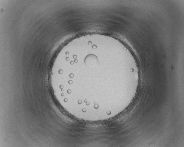 X0000066080629200603311936