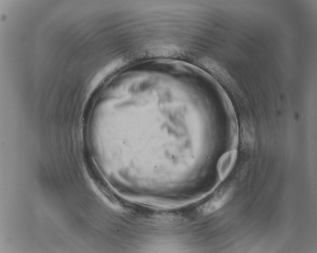 X0000066080630200603311936