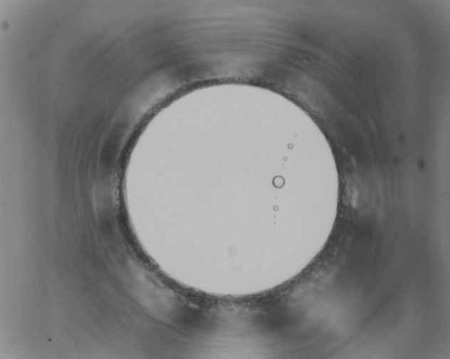 X0000066080632200603311936