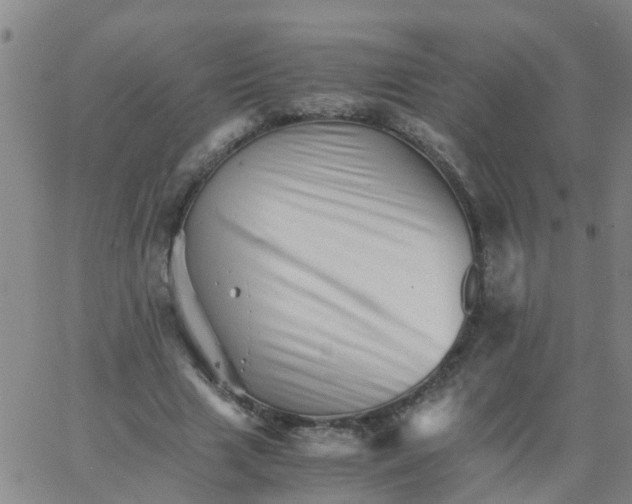 X0000066080633200603311936