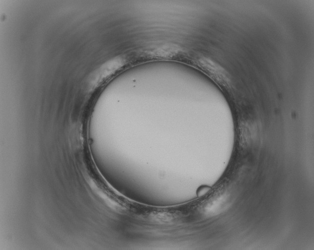 X0000066080634200603311936