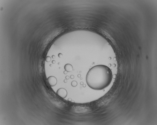 X0000066080635200603311936