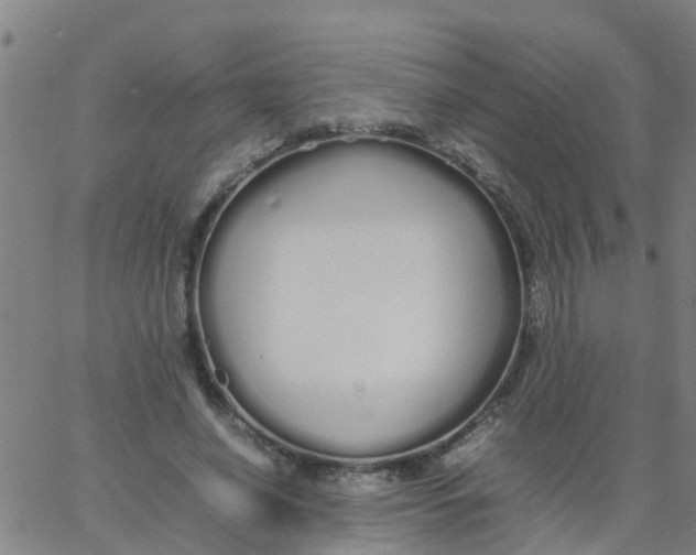 X0000066080638200603311936