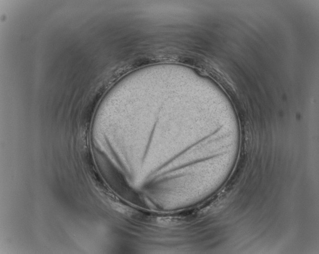 X0000066080641200603311936