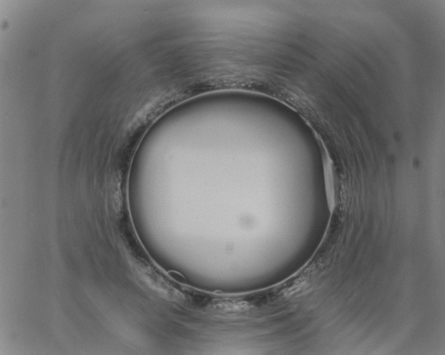 X0000066080642200603311936