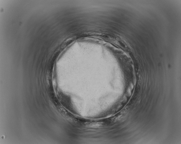 X0000066080643200603311936