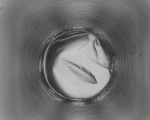 X0000066080644200603311936