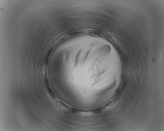 X0000066080645200603311936