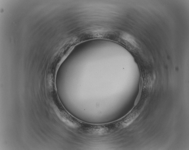 X0000066080646200603311936