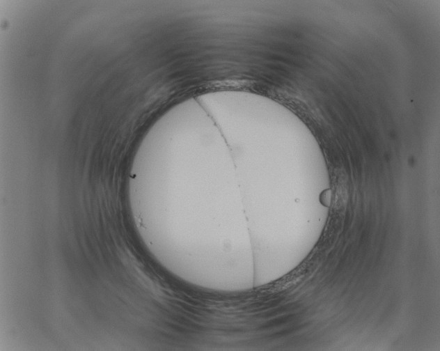 X0000066080647200603311936