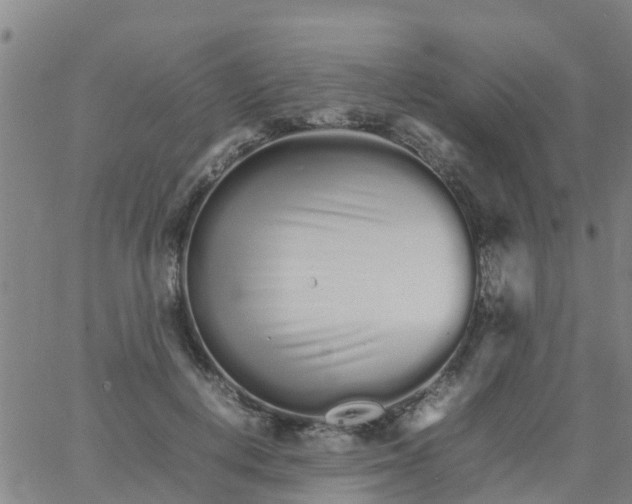 X0000066080648200603311936