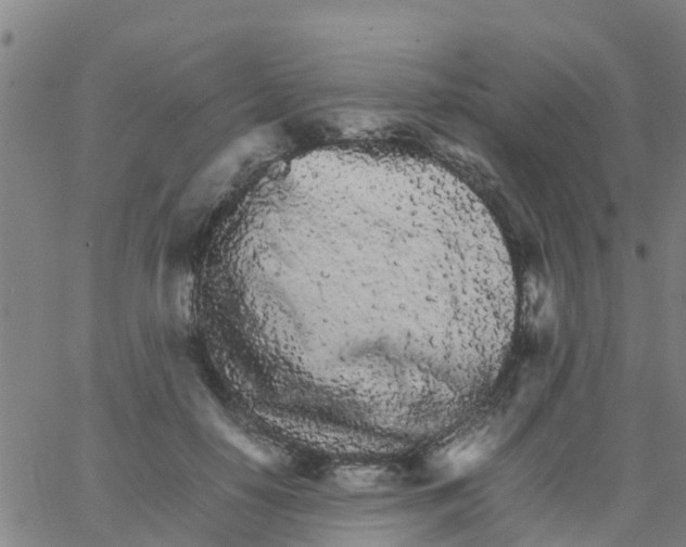 X0000066080650200603311936