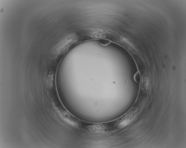 X0000066080652200603311936