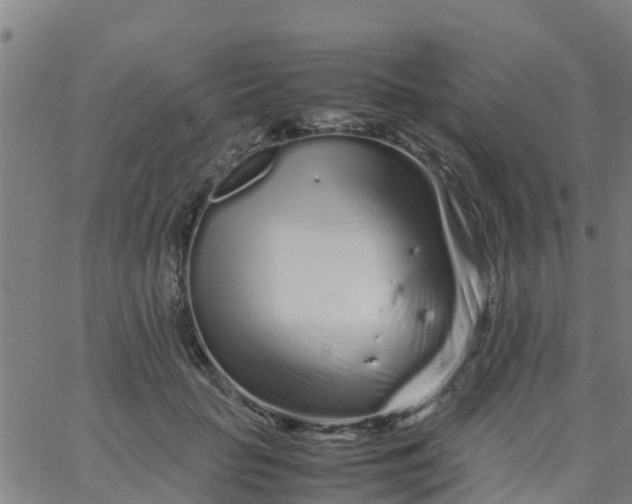 X0000066080653200603311936