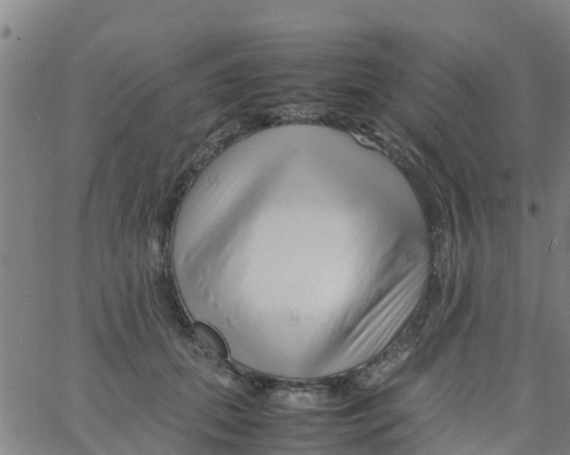 X0000066080655200603311936