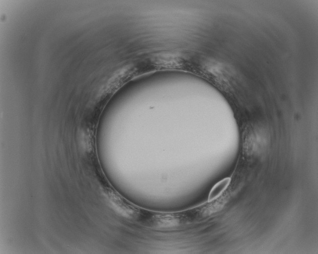 X0000066080658200603311936