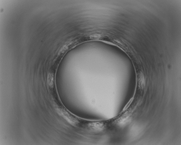 X0000066080660200603311936