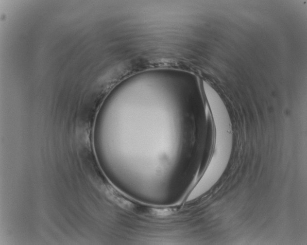 X0000066080662200603311936