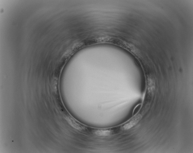 X0000066080664200603311936