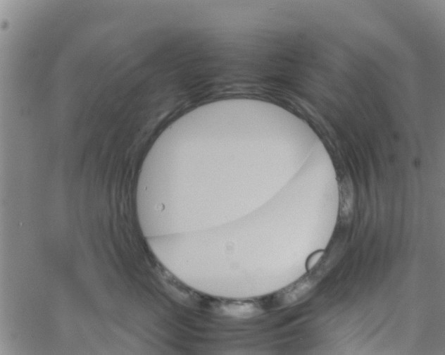 X0000066080669200603311936