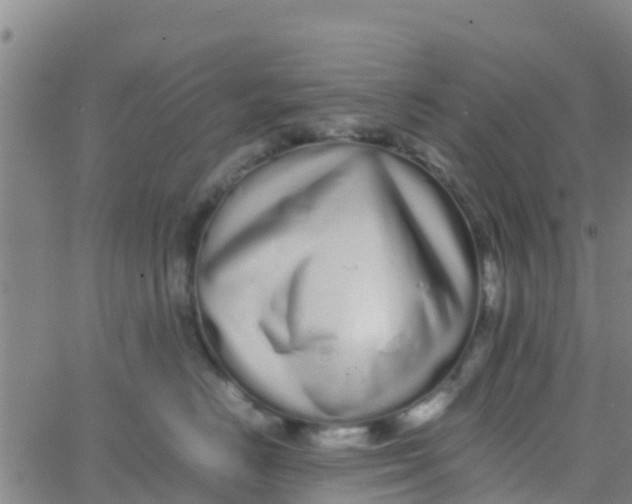 X0000066080670200603311936